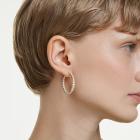 Κρίκοι Matrix Στρογγυλή κοπή, Λευκά, Επιμετάλλωση σε χρυσαφί τόνο